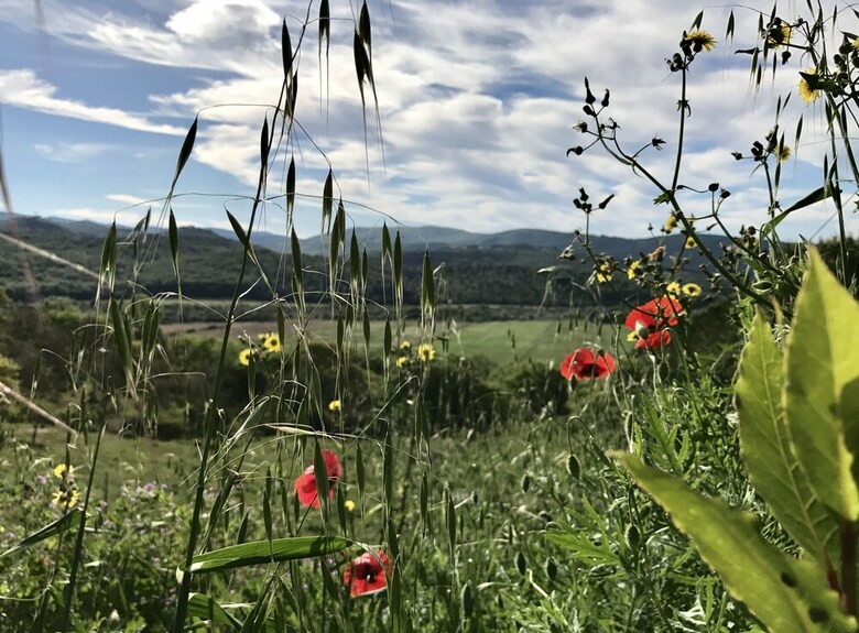 Agroturismo Agriturismo San Ottaviano