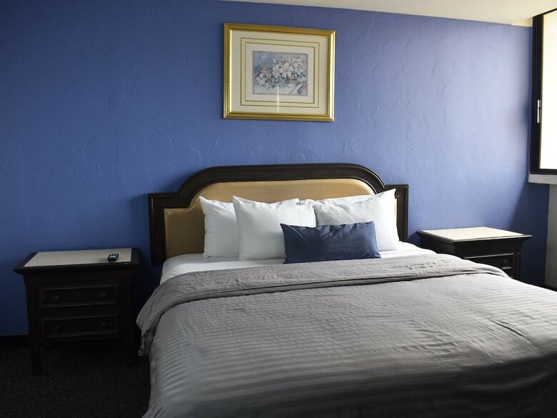 Hotel Corona Plaza