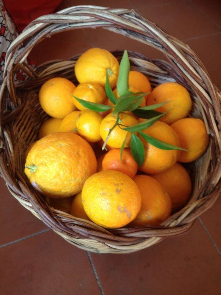 Bed & Breakfast La Casa Delle Fate