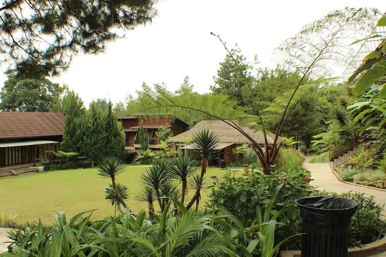 Apartamento The Green Forest Resort