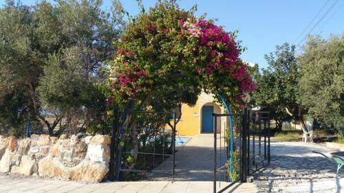 Akamas Villas - Villa Queen Evridiki