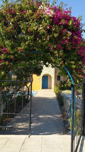 Akamas Villas - Villa Queen Evridiki