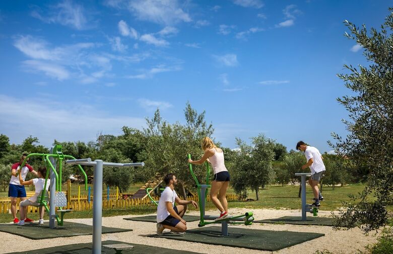 Apartamentos Holiday Homes Istrian Premium Village