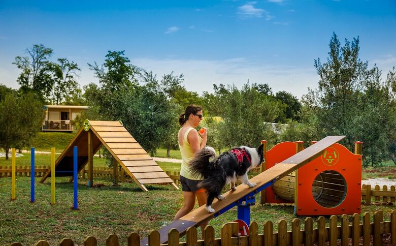 Apartamentos Holiday Homes Istrian Premium Village