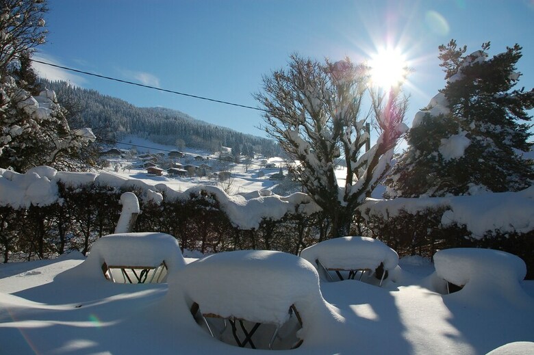 Hotel Caprice Des Neiges
