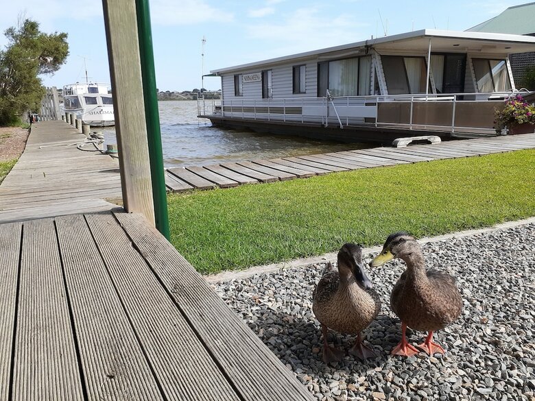 Apartamentos Boat Haven Studios