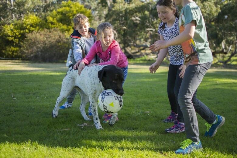 Freshwater Creek Cottages And Farm Stay