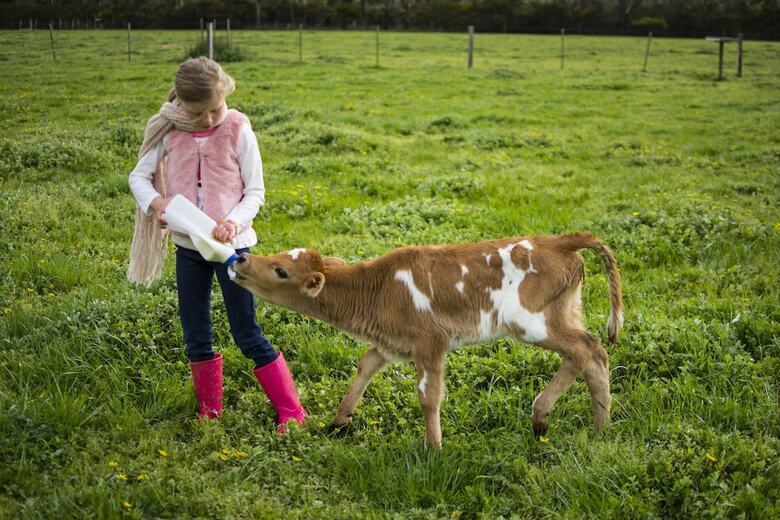 Freshwater Creek Cottages And Farm Stay