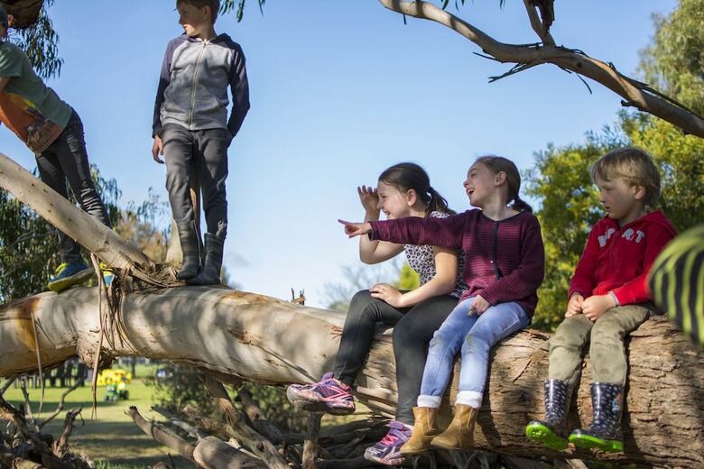 Freshwater Creek Cottages And Farm Stay