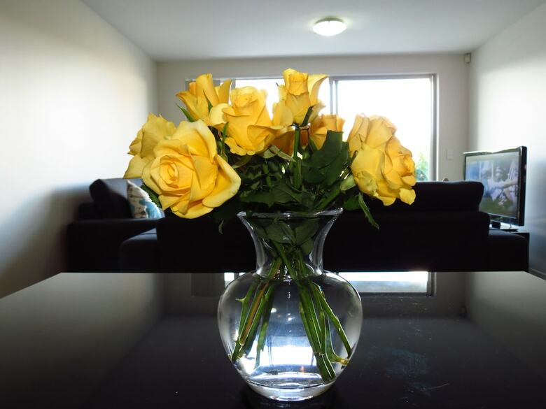 Apartamentos Waldorf Newhaven - Botany Downs