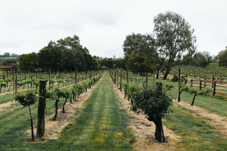 Hotel Glen Erin At Lancefield - Vineyard Retreat