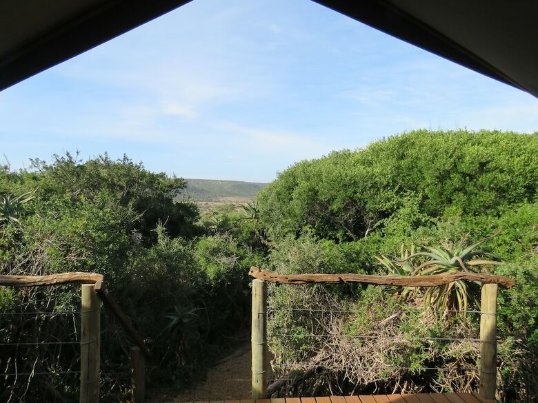 Posada Woodbury Tented Camp-amakhala Game Reserve
