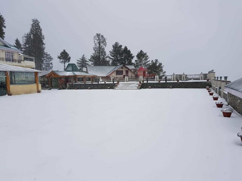 Hotel Royal Tulip Shimla - Kufri