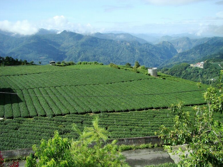 Hotel Alishan B&B Yunmingi Aliscenery