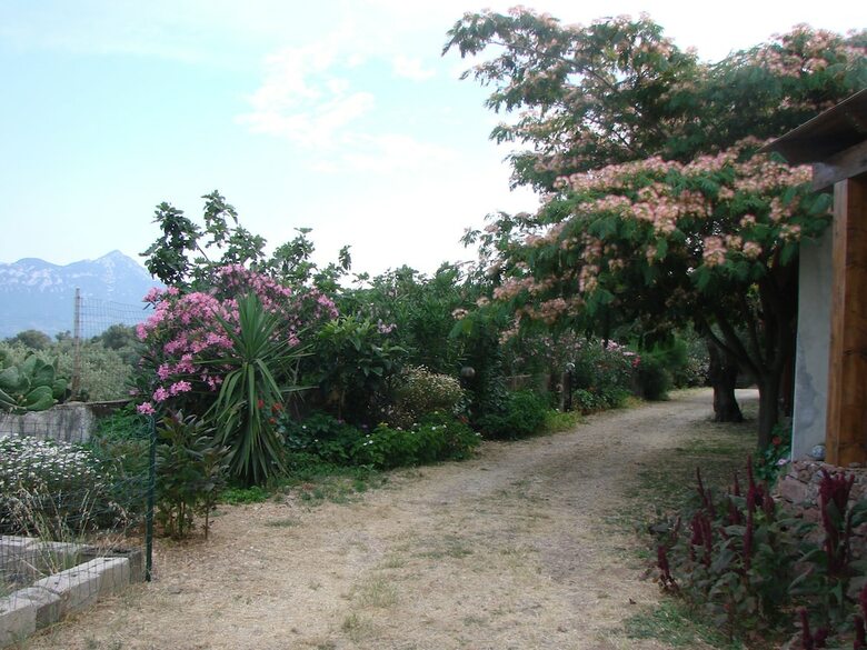 Agroturismo Agriturismo Su Tiresi