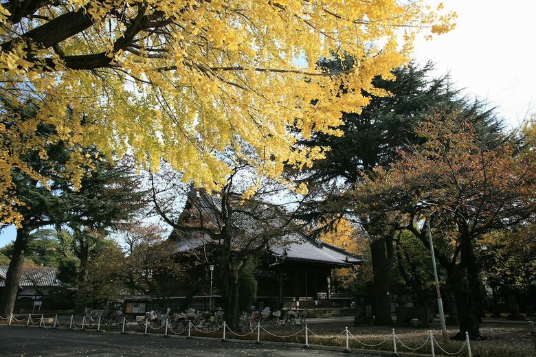 Dormy Inn Ueno Okachimachi Hot Spring