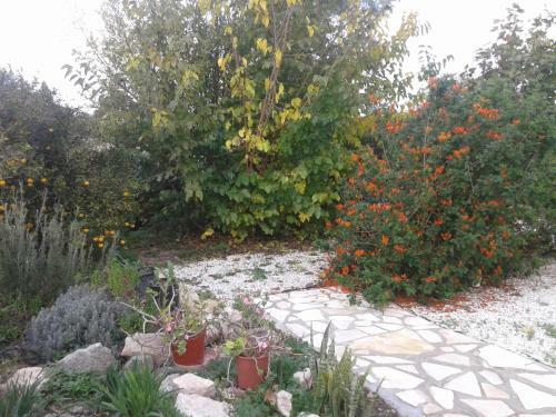 Arilena Holiday Apartments
