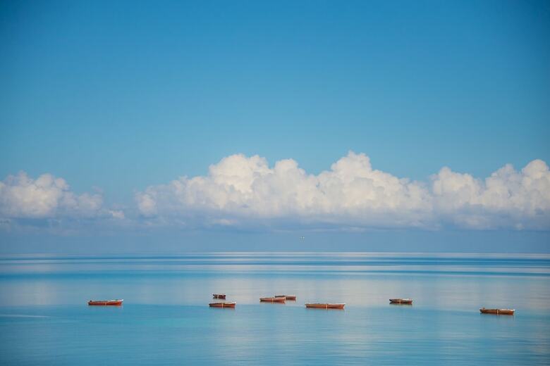 Hotel Sea Cliff Resort & Spa