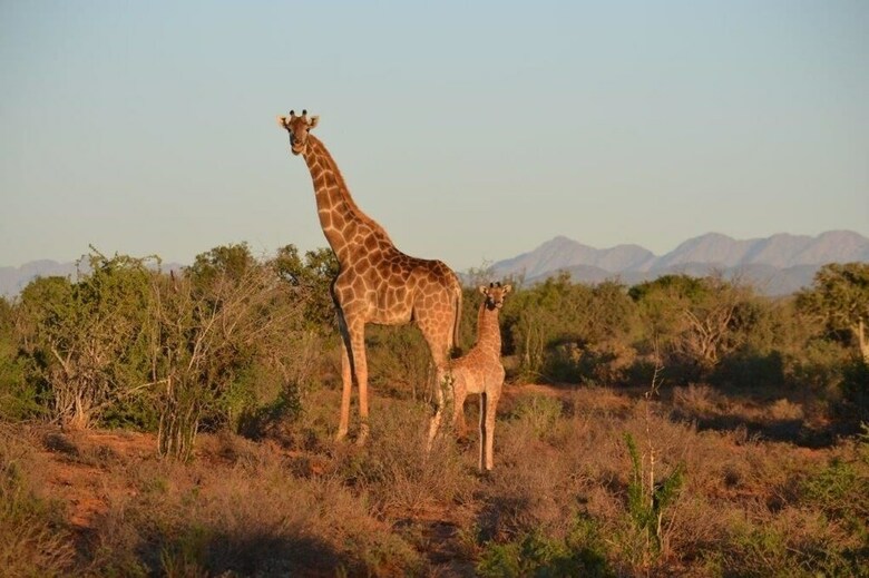 Agroturismo Berluda Farmhouse & Cottages