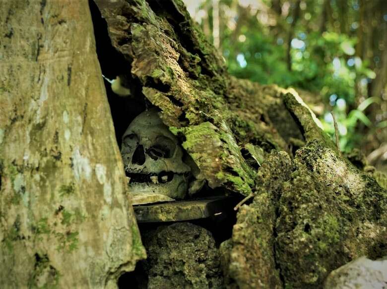 Hotel Fatboys Resort