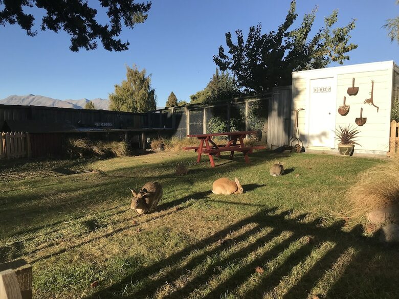 Hostal Tailor Made Tekapo Accommodation - Guesthouse & Hostel