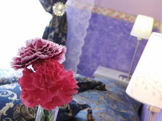 Holiday Sunny Roma B&B