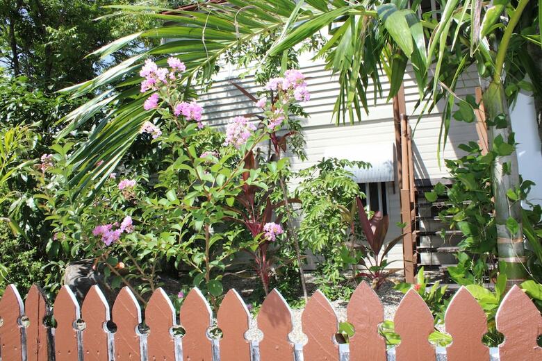 Hostal Geckos Backpackers Cairns - Hostel