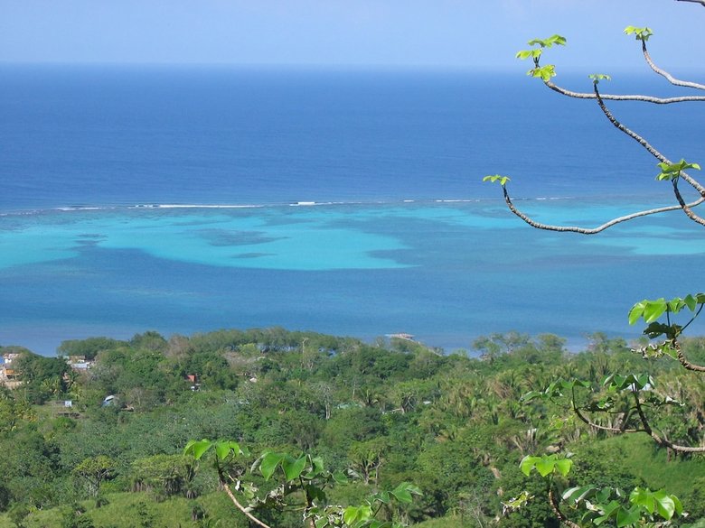 Roatan Bed & Breakfast Apartments
