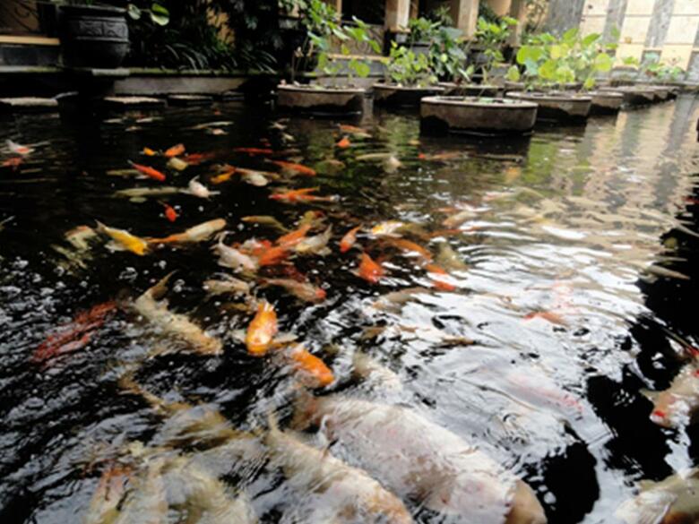 Lotus Garden Hotel