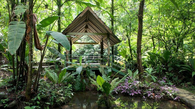 Posada Santa Juana Nature Reserve Full Board Lodge
