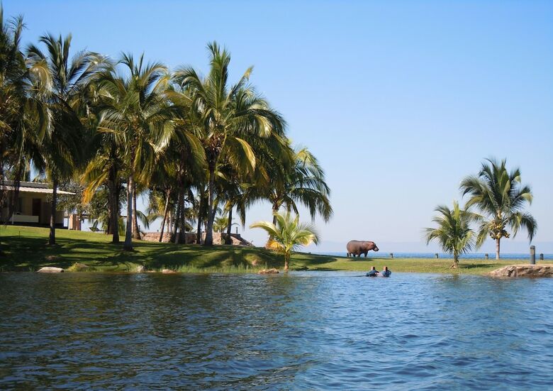 Hotel Lake Safari Lodge