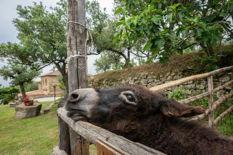 Agroturismo Country House Villa Nigro