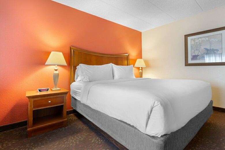 Hotel Holiday Inn Express Chicago-downers Grove