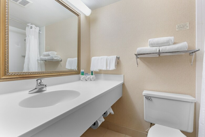 Hotel Holiday Inn Express Chicago-downers Grove