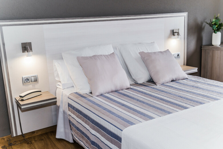 Hotel Planas