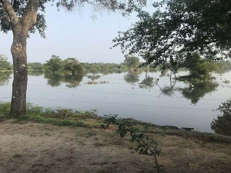 Elephant Lake Yala