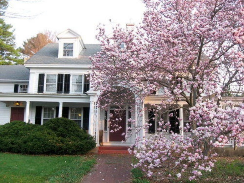Bed & Breakfast The Windflower Inn