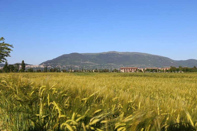 Hotel Valle Di Assisi Country Apartments