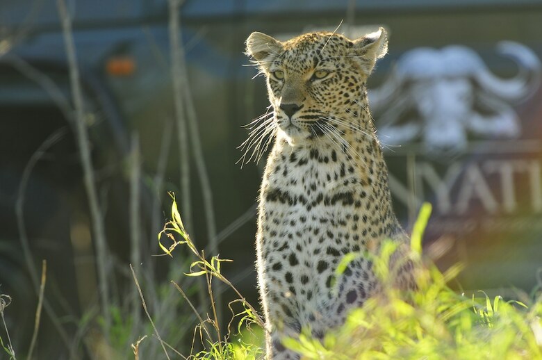 Posada Inyati Game Lodge