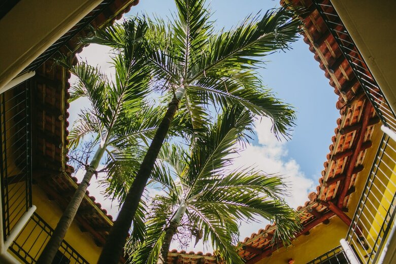 Hotel Royal Level At Occidental Cozumel - All Inclusive