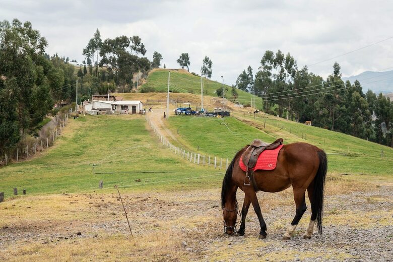 Hotel Hoster�a Loma Larga - Cayambe