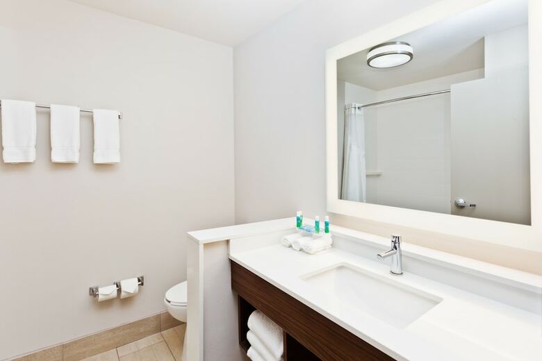 Hotel Holiday Inn Express & Suites Cartersville