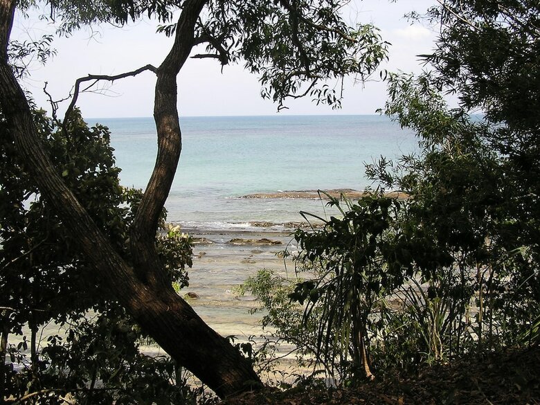 Hotel North Borneo Biostation Resort