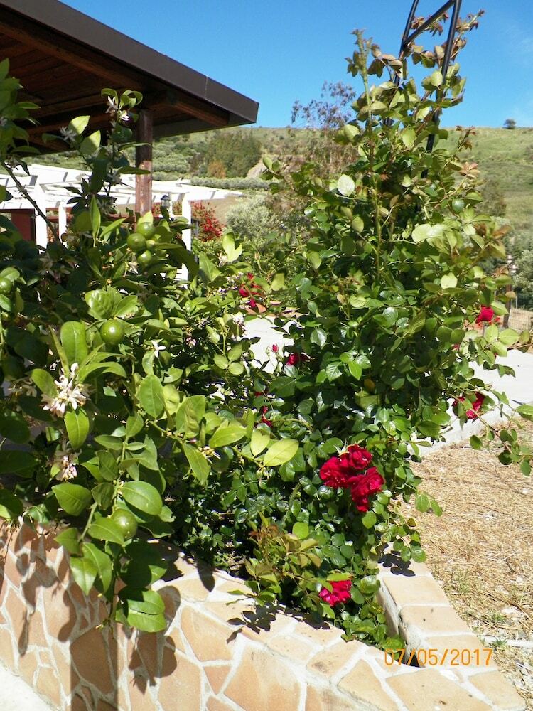 Agroturismo Agriturismo Colle Del Sindaco