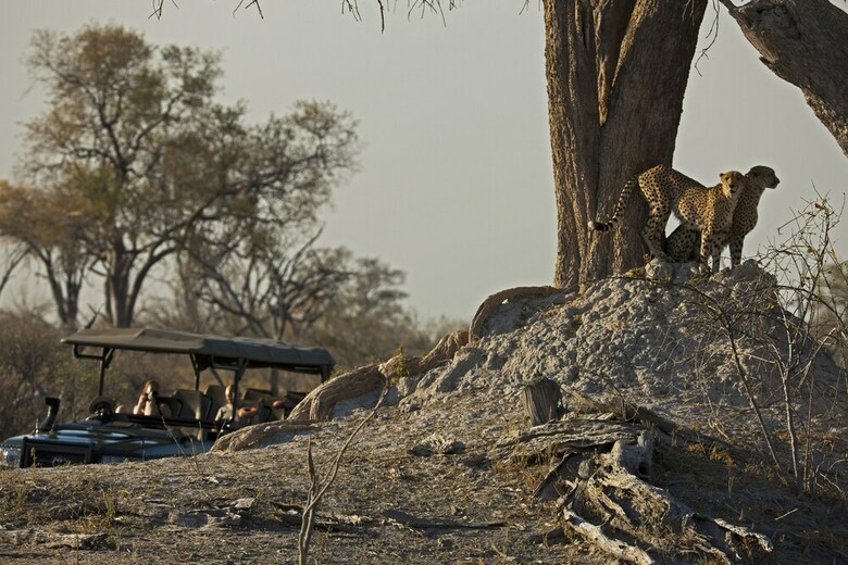 Posada Selinda Camp