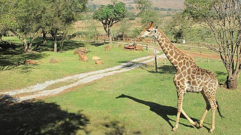 Caracal Lodge