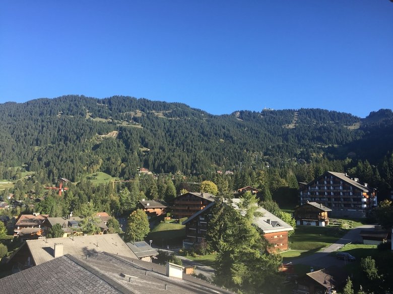Hotel Eurotel Victoria Villars