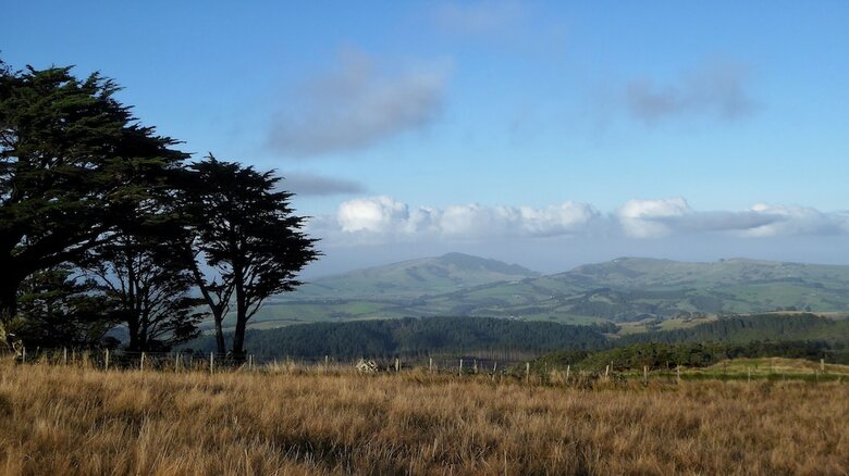 Pupu Rangi Nature Sanctuary - Conservation Area