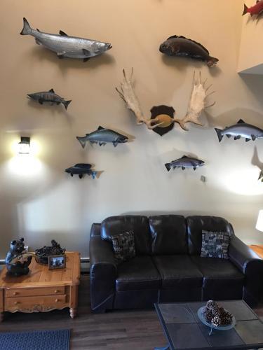 Motel Lakeshore Inn & Suites
