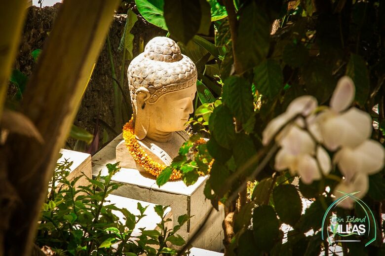 Hotel Twin Island Villas & Dive Resort
